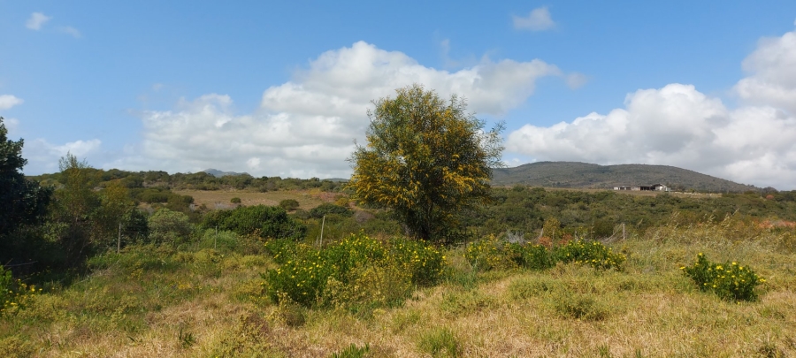 Commercial Property for Sale in Albertinia Western Cape